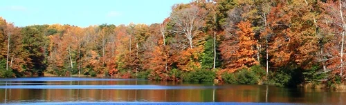 Moving to King George, VA